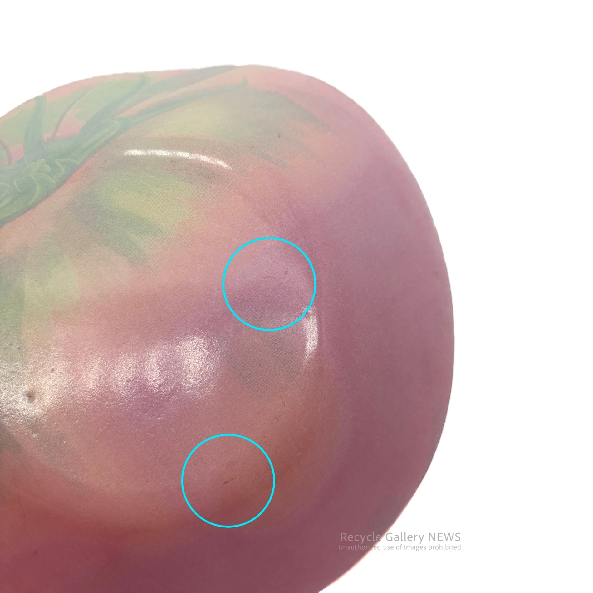 DULTON GLASS FARMER PLATE Tomato Design plate / ダルトン ガラス ファーマー プレート トマト 皿