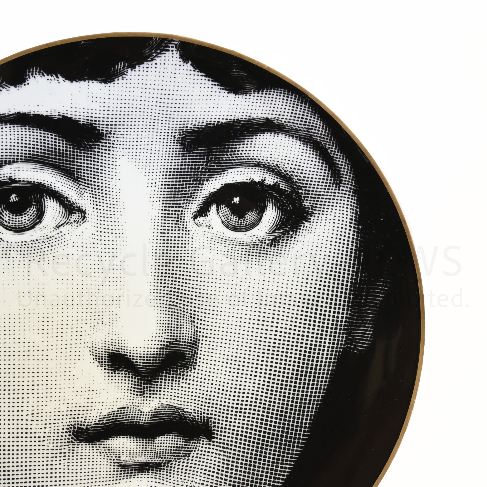 Rosenthal Fornasetti Wall plate Tema e Variazioni Germany Italy / ローゼンタール フォルナセッティ テーマとバリエーション 絵皿 飾り皿 ドイツ イタリア