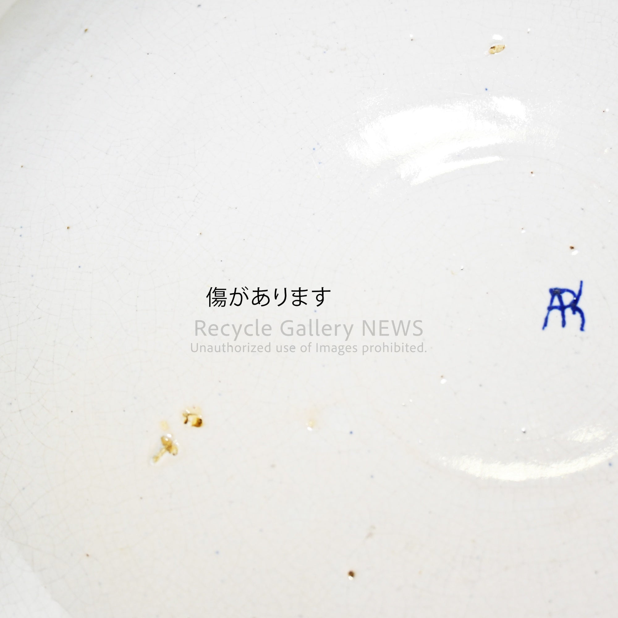 Dutch Delft Charger Picture plate Oriental Chinoiserie flowers and birds / デルフト アンティーク 絵皿 東洋風 花鳥図