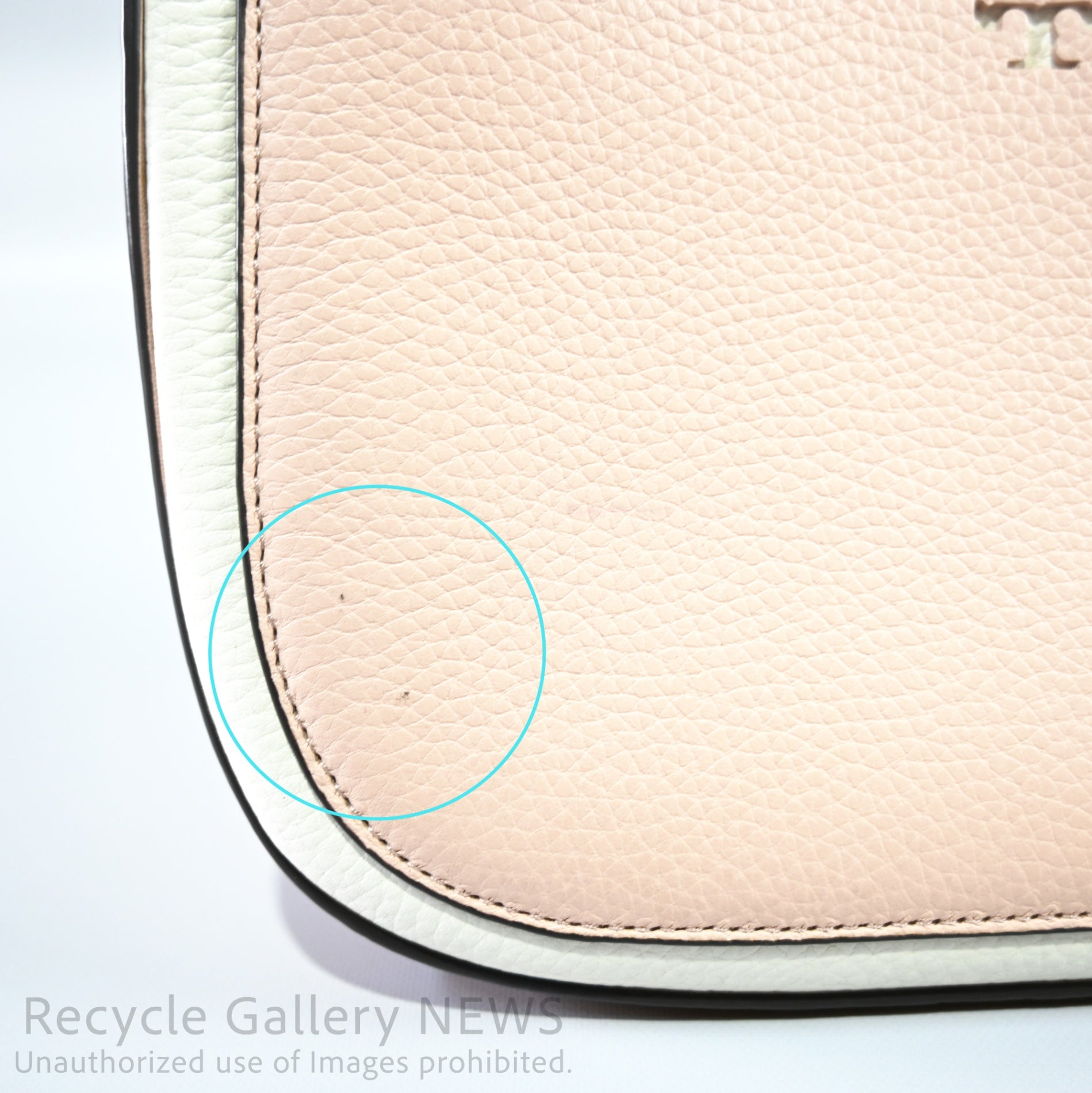 Tory Burch Mcgraw Botanical Appliqué Satchel Leather Bag / トリーバーチ マックグロー サッチェル レザー ハンドバッグ パッチワーク ベージュ ボタニカル