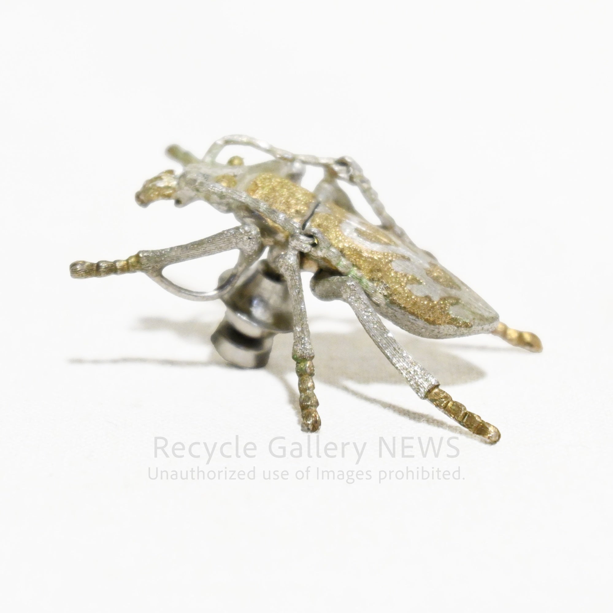 Ground beetle Brooch SILVER engraved Vintage / オサムシ 昆虫