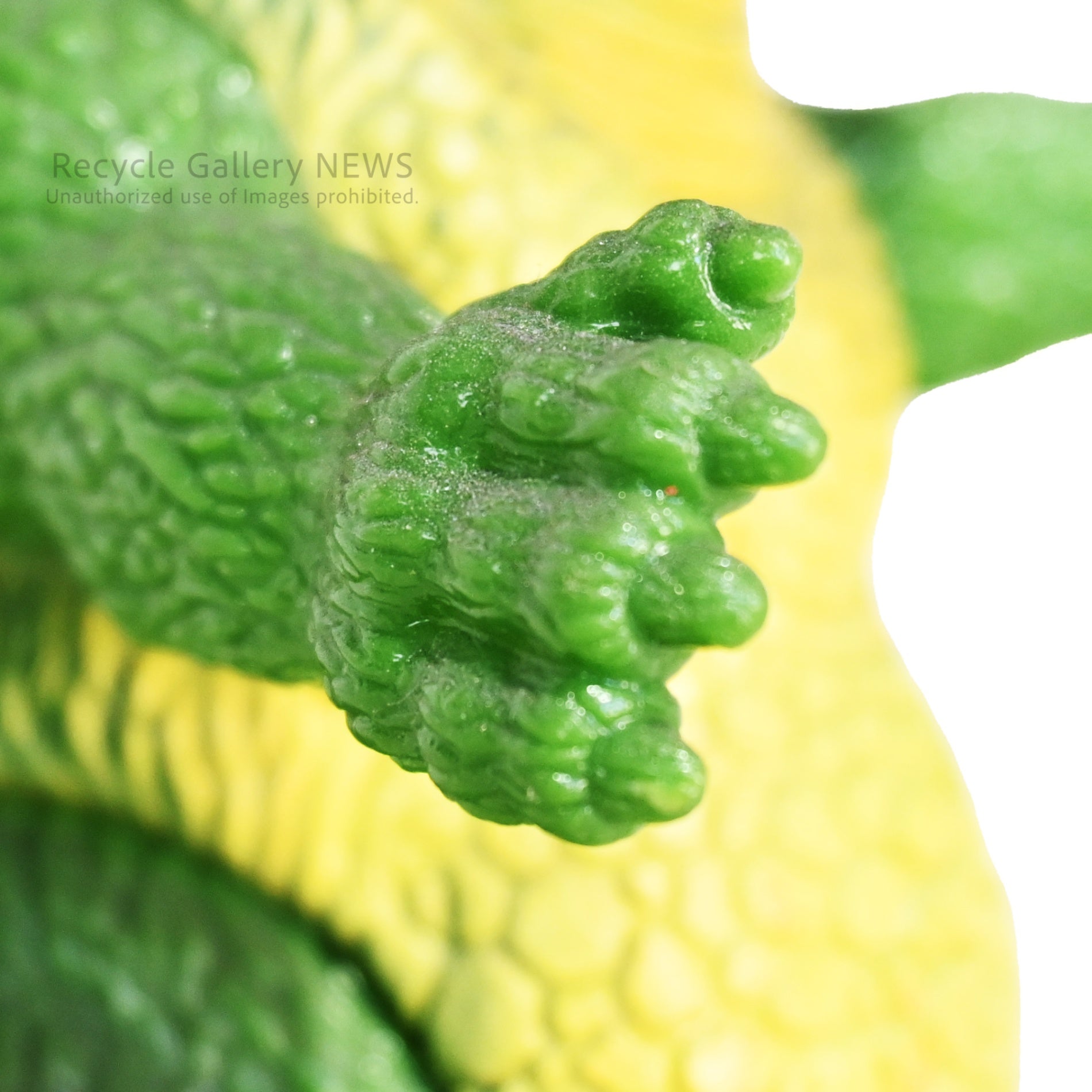 Old BANDAI Little Godzilla soft vinyl figure 1994 model Japan / 旧バンダイ 1994年製 リトルゴジラフィギュア ソフビ