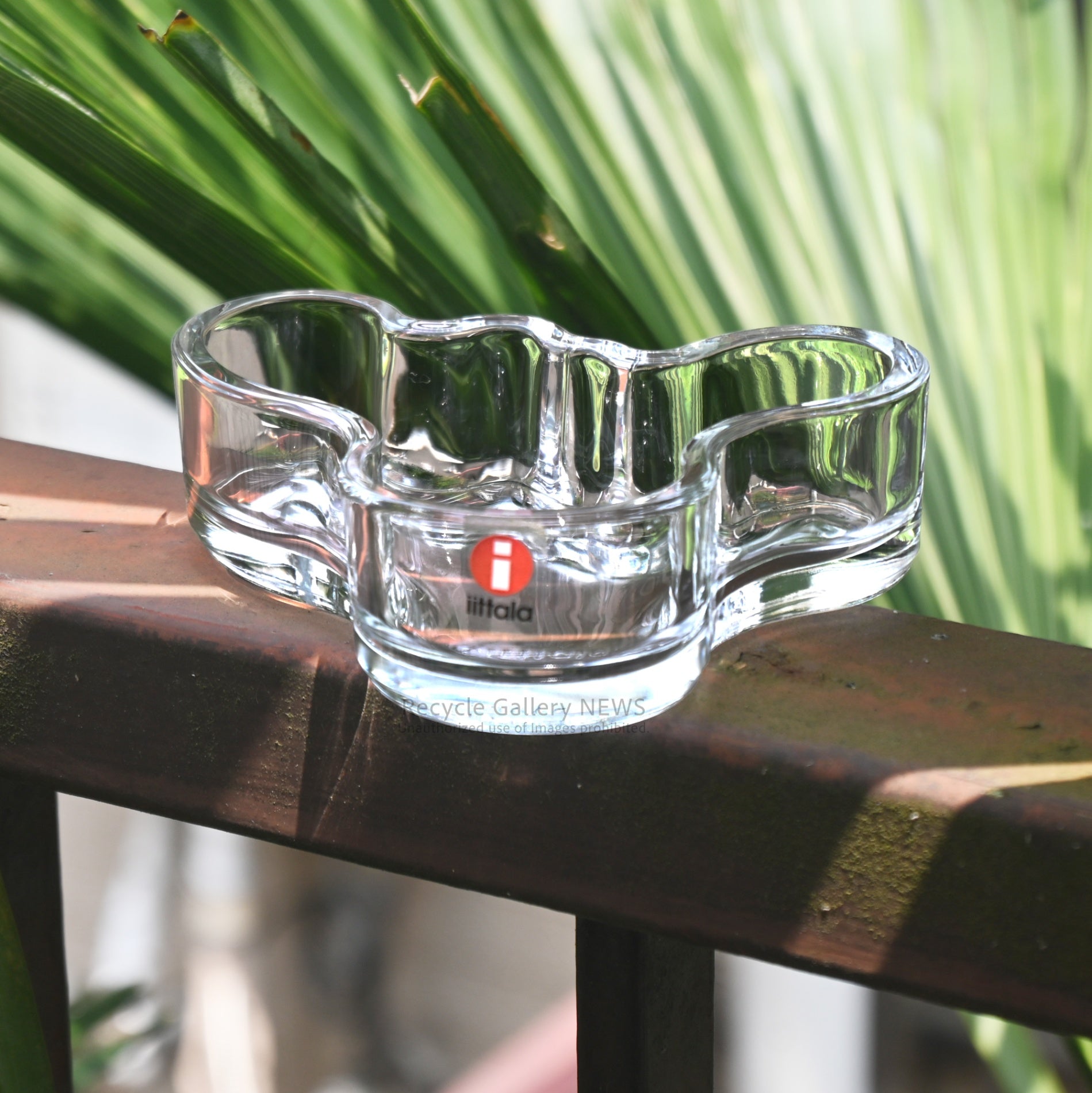 iittala Alvar Aalto Collection Mini Bowl Timeless Scandinavian Design / イッタラ アルヴァ・アアルト コレクション ミニボウル 北欧デザイン タイムレス