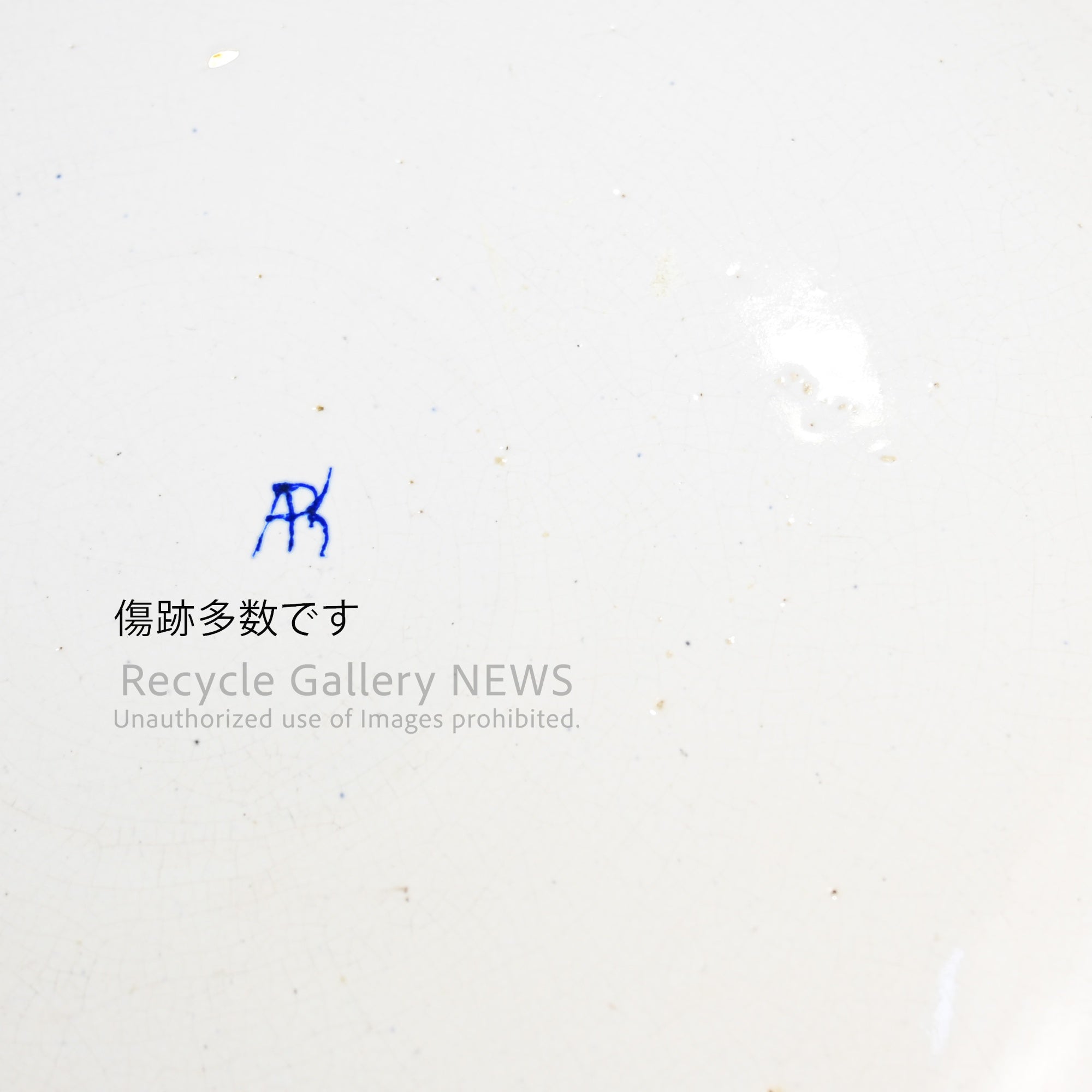 Dutch Delft Charger Picture plate Oriental Chinoiserie flowers and birds / デルフト アンティーク 絵皿 東洋風 花鳥図
