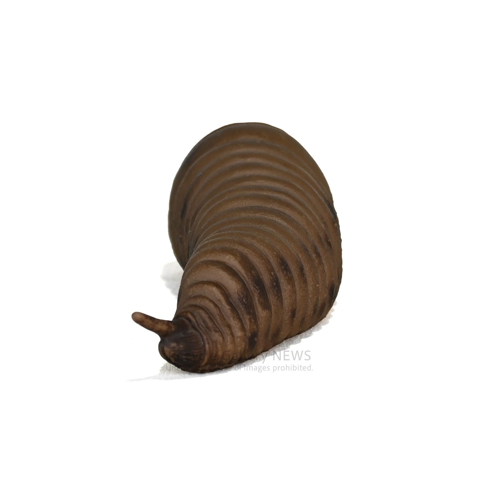 Old BANDAI Mothra figure Soft vinyl figure 2003 model Godzilla Japan / 旧バンダイ モスラ 2003年製 フィギュア ソフビ ゴジラ