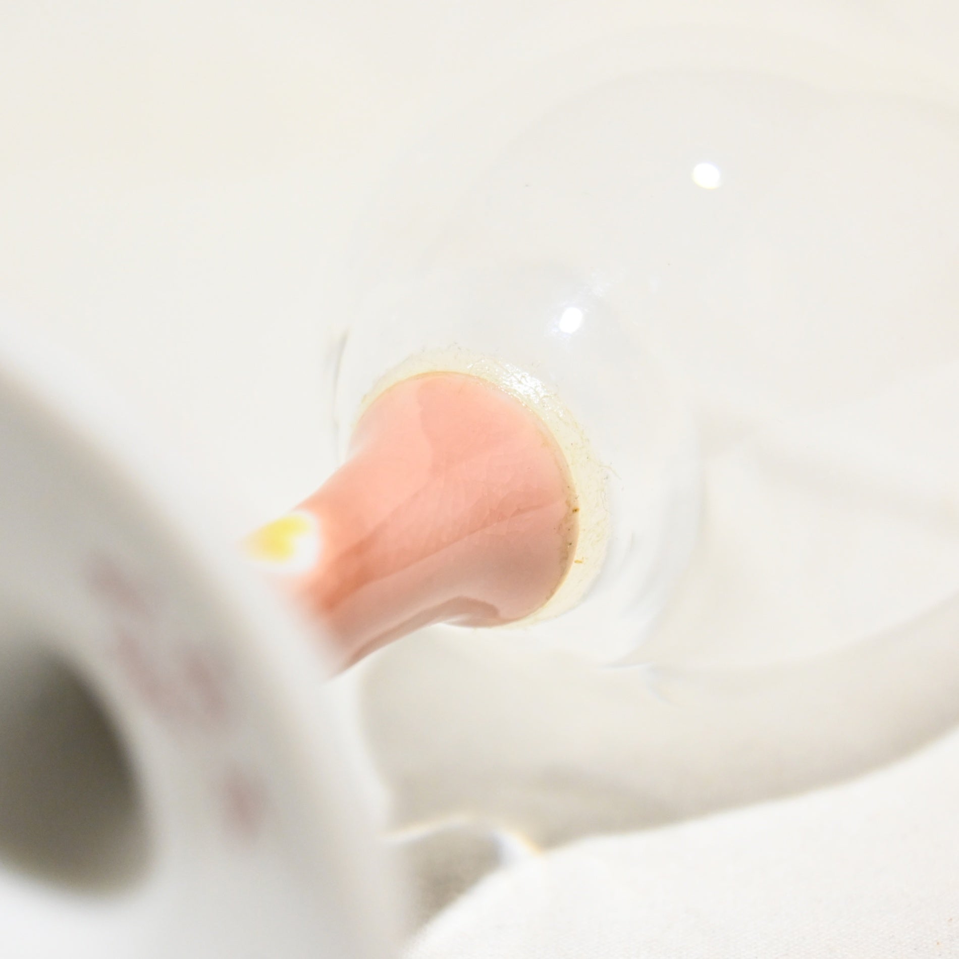 幸山窯 九谷和グラス 桜 ペア 九谷焼 和ガラス 日本 / Kouzan ware Kutani Kozan Japanese Glass Sakura pair