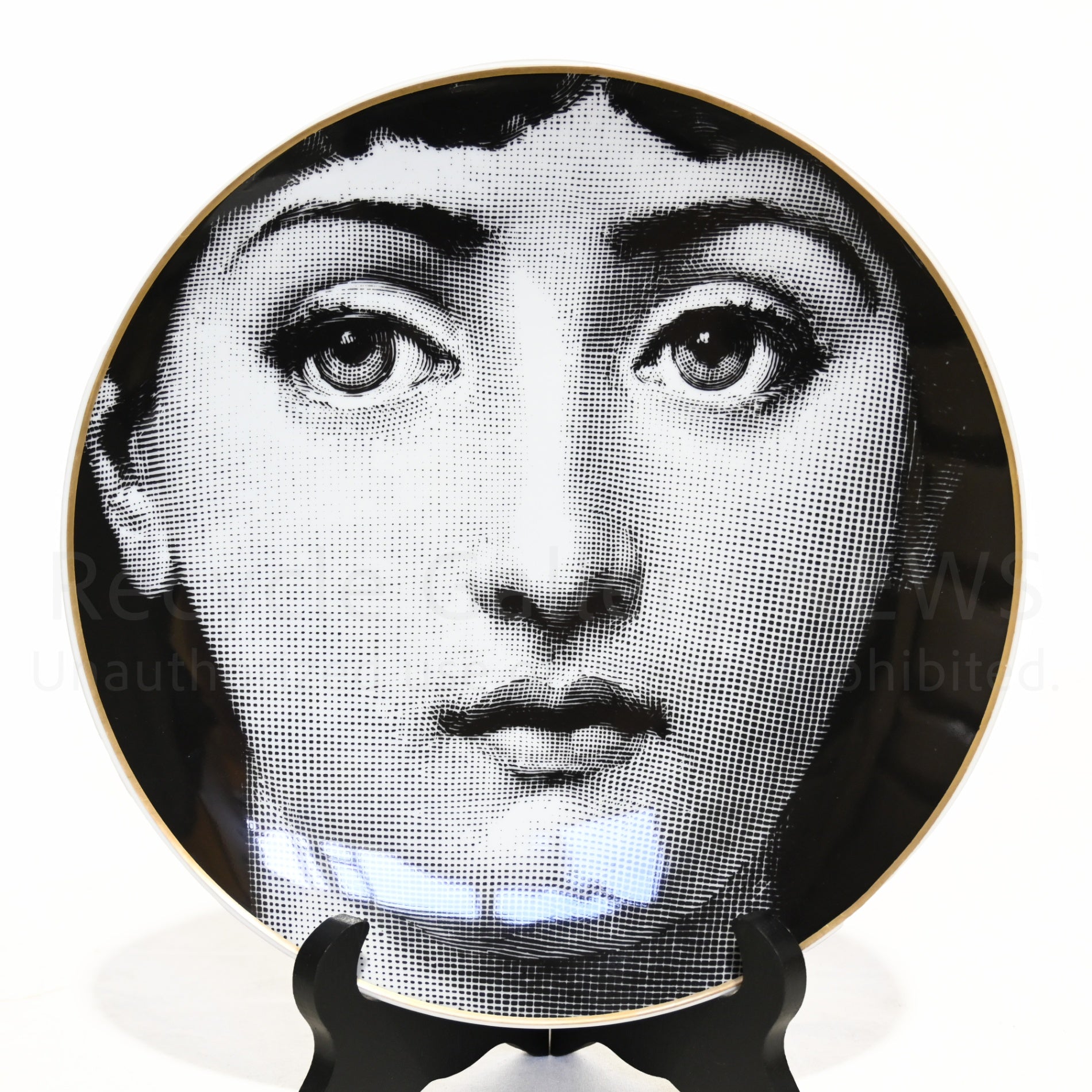 Rosenthal Fornasetti Wall plate Tema e Variazioni Germany Italy / ローゼンタール フォルナセッティ テーマとバリエーション 絵皿 飾り皿 ドイツ イタリア