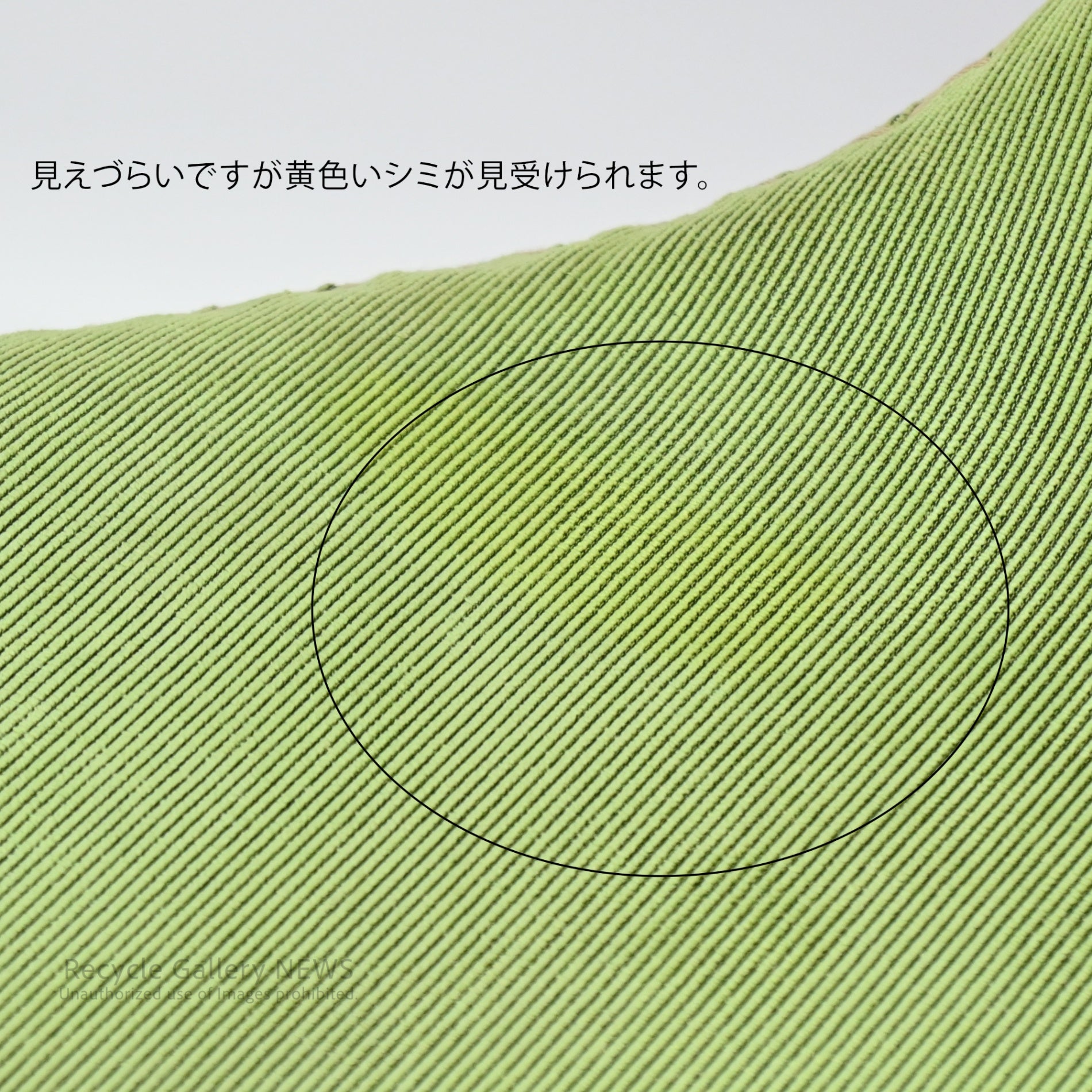 dolphin chair Green Danish Design by Bjarke Nielsen Scandinavian Modern / ドルフィンチェア デンマーク グリーン ビャルケ・ニールセン 北欧デザイン