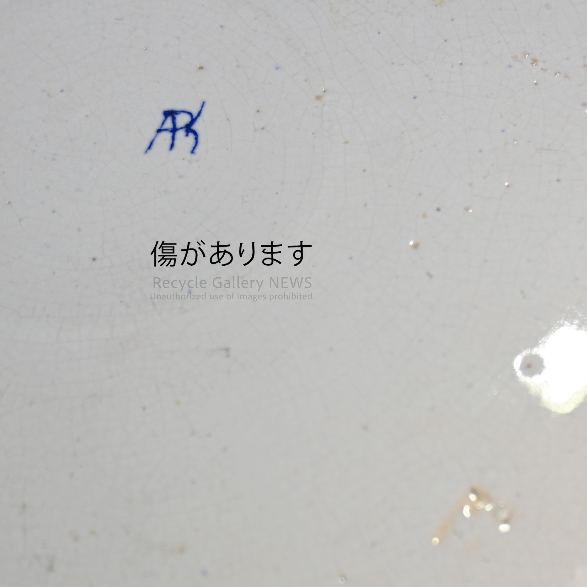 Dutch Delft Charger Picture plate Oriental Chinoiserie flowers and birds / デルフト アンティーク 絵皿 東洋風 花鳥図