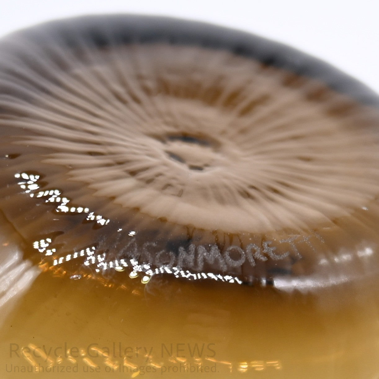 NASON MORETTI "IDRA" Ribbed Glass Smoked Grey Tumbler Venetian Murano Modern Interior / ナソン・モレッティ "イドラ" グラス スモーキーグレー グラデーションカラー ガラス タンブラー ヴェネチアンガラス イタリア ムラーノ モダンインテリア