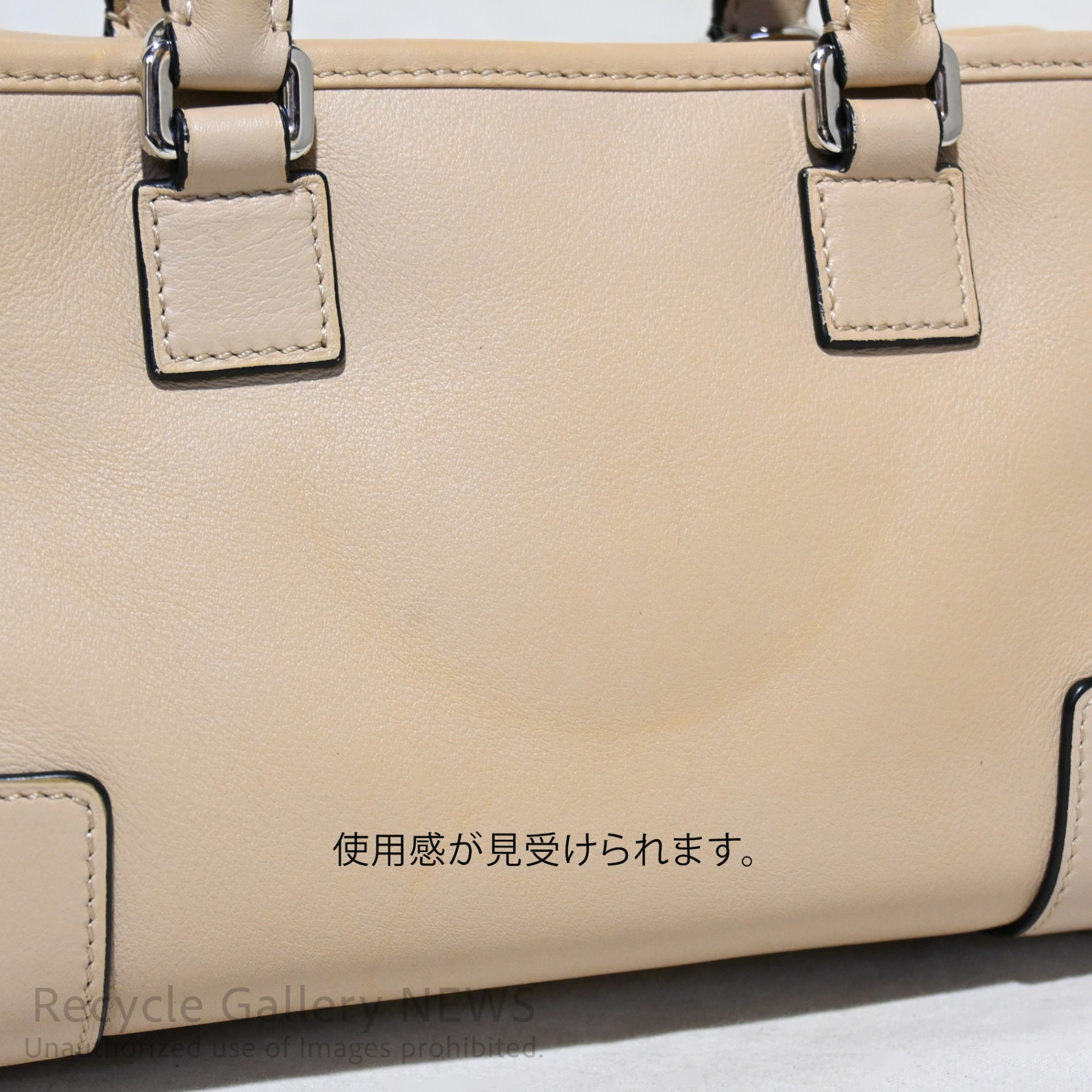 Loewe Amazona 2-Way Handbag Greige / ロエベ アマソナ 2WAY