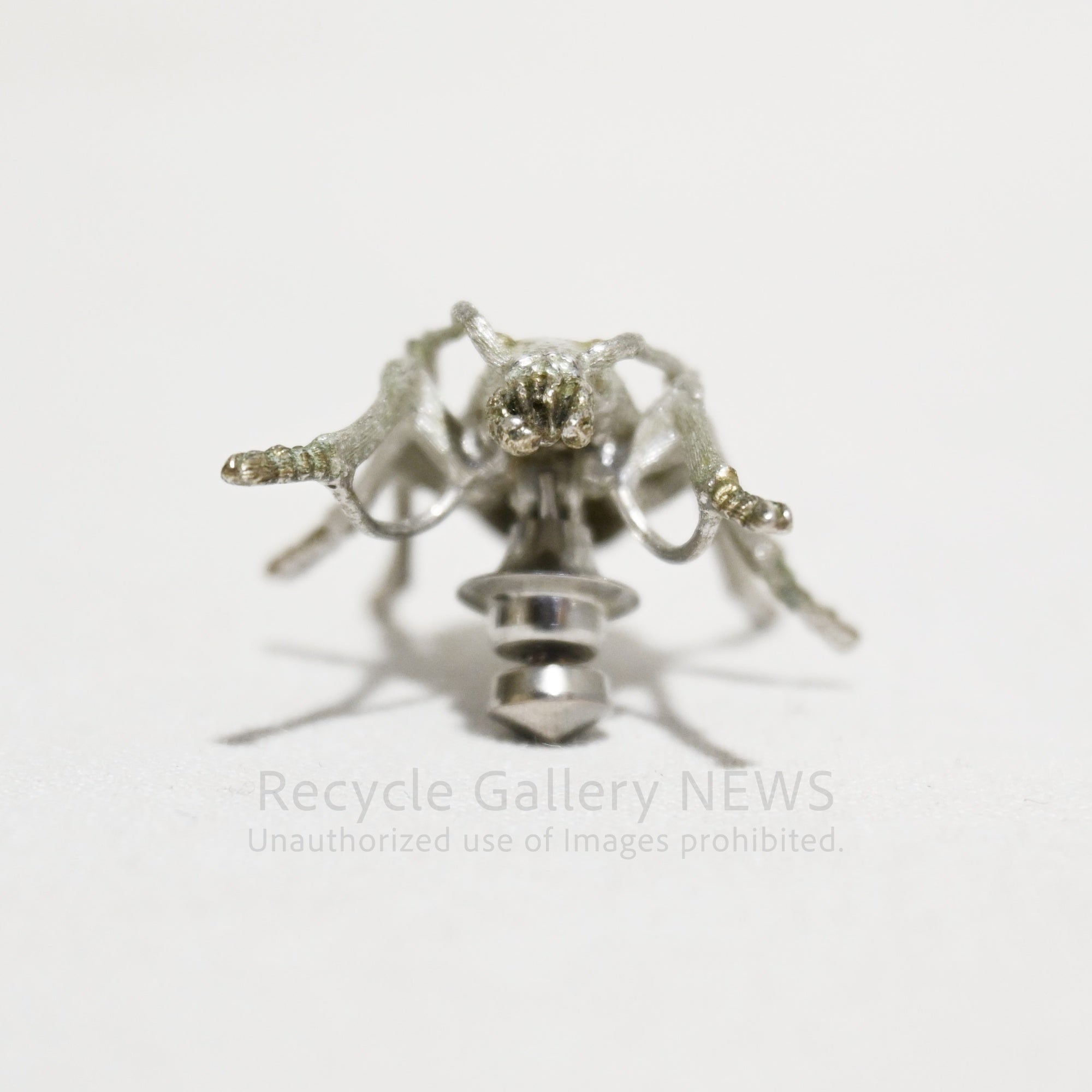 Ground beetle Brooch SILVER engraved Vintage / オサムシ 昆虫