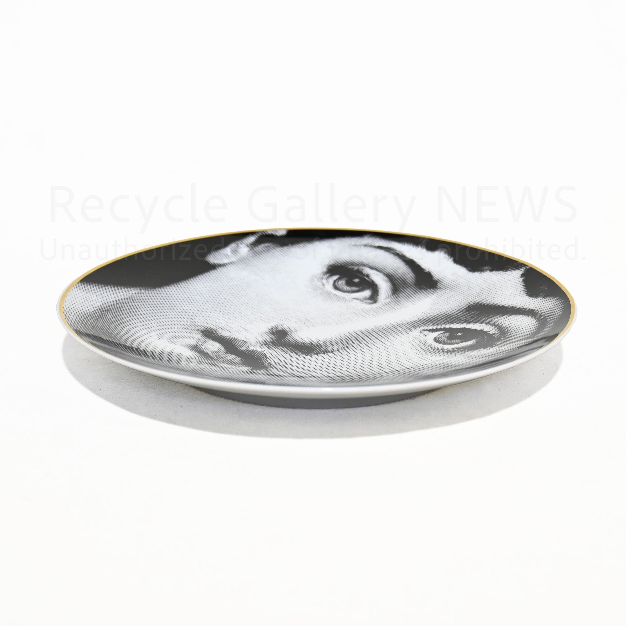 Rosenthal Fornasetti Wall plate Tema e Variazioni Germany Italy / ローゼンタール フォルナセッティ テーマとバリエーション 絵皿 飾り皿 ドイツ イタリア