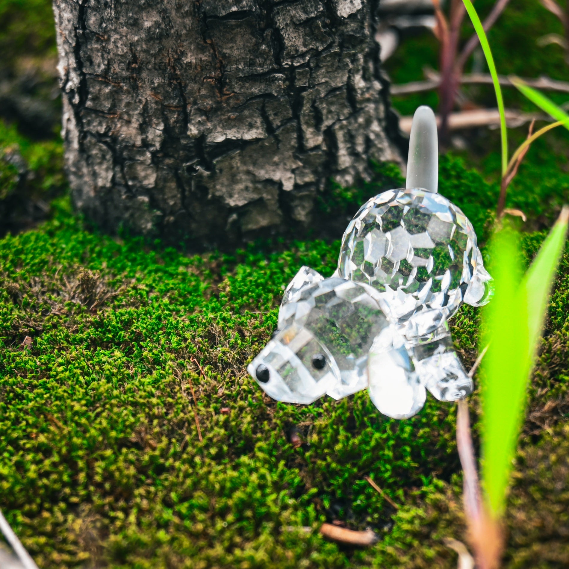 Retired Swarovski Crystal "Lying Beagle" Figurine Austrian Animal Motif / スワロフスキー 伏せビーグル 廃盤品 オーストリア クリスタルガラス 動物モチーフ